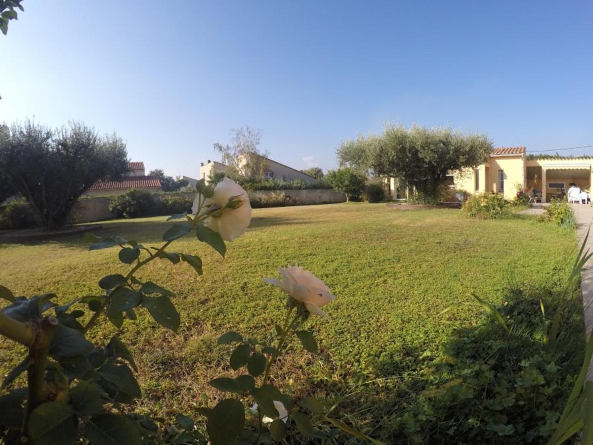 La Casa Nert Otel Millas Dış mekan fotoğraf